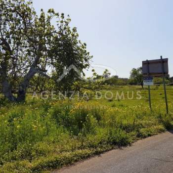 Terreno in vendita a Alliste (Lecce)