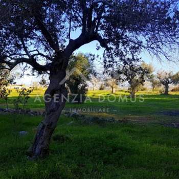 Terreno in vendita a Alliste (Lecce)