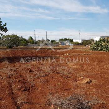 Terreno in vendita a Alliste (Lecce)