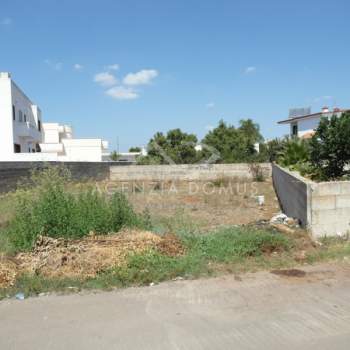Terreno in vendita a Racale (Lecce)