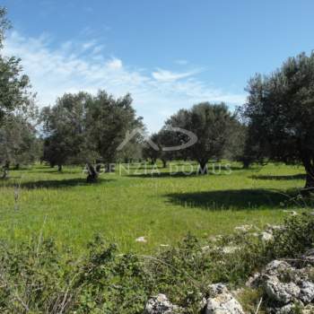 Terreno in vendita a Racale (Lecce)