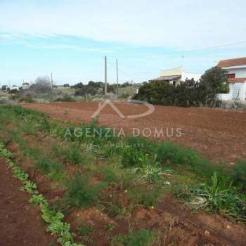 Terreno in vendita a Alliste (Lecce)