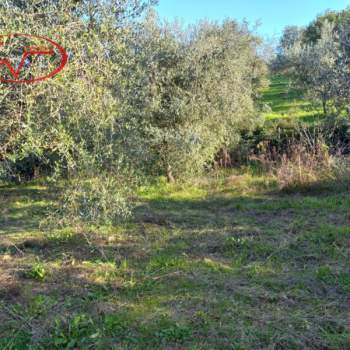 Terreno in vendita a Montevarchi (Arezzo)