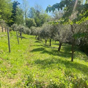 Rustico in vendita a Caltrano (Vicenza)