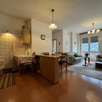 Appartamento in vendita a Auronzo di Cadore (Belluno)