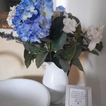 Rustico in vendita a Roncade (Treviso)