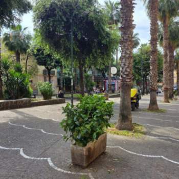 Negozio in affitto a Napoli (Napoli)