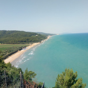 Cerco coetanane/ i -60/70 enni 