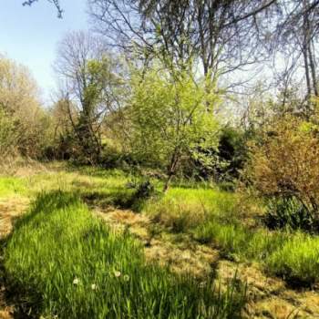 Terreno in vendita a Castiglione delle Stiviere (Mantova)