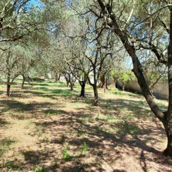Terreno in vendita a Campagna (Salerno)