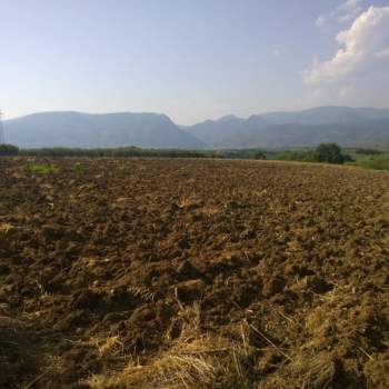 Terreno in vendita a Serre (Salerno)