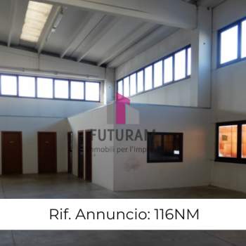 Capannone in affitto a Saccolongo (Padova)