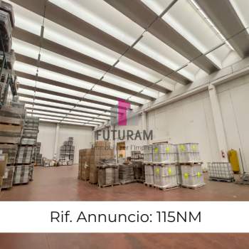 Capannone in affitto a Padova (Padova)