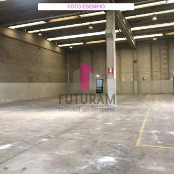 Capannone in affitto a Limena (Padova)