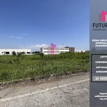 Terreno in vendita a Ospedaletto Euganeo (Padova)