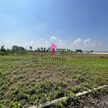 Terreno in vendita a San Giorgio delle Pertiche (Padova)