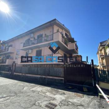 Appartamento in affitto a Grottaferrata (RM)