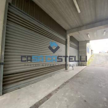 Magazzino in affitto a Frascati (RM)