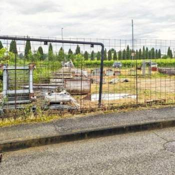 Terreno in vendita a Sarego (Vicenza)