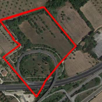 Terreno in vendita a Orte (Viterbo)