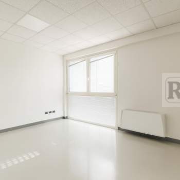 Ufficio in affitto a Limena (Padova)