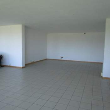 Ufficio in affitto a Limena (Padova)