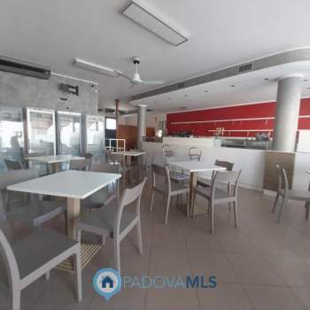 Negozio in vendita a Pernumia (Padova)