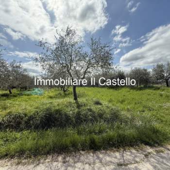 Terreno in vendita a Castiglione del Lago (Perugia)