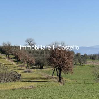 Terreno in vendita a Castiglione del Lago (Perugia)