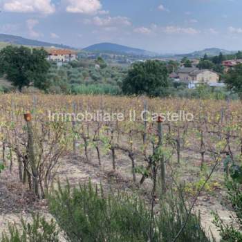 Terreno in vendita a Corciano (Perugia)