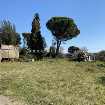 Terreno in vendita a Castiglione del Lago (Perugia)
