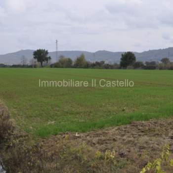 Terreno in vendita a Castiglione del Lago (Perugia)