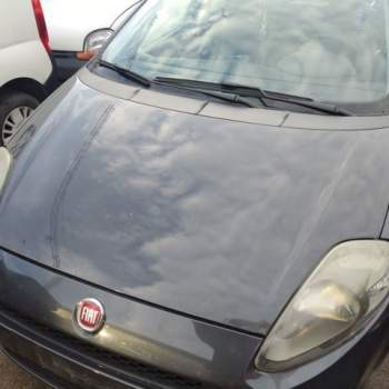 Cofano FIAT GRANDE PUNTO EVO  del 2013