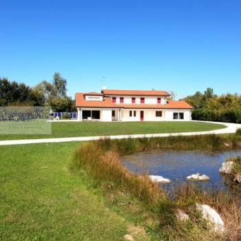 Villa in vendita a Quinto di Treviso (Treviso)