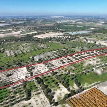 Terreno in vendita a Noto (Siracusa)