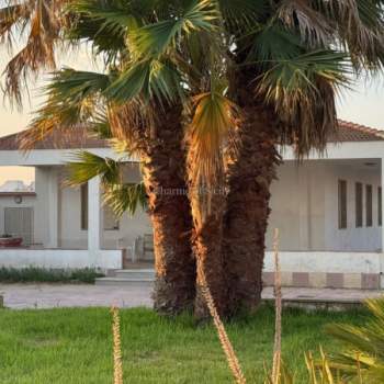 Casa singola in vendita a Pachino (Siracusa)