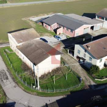 Casa singola in vendita a Polesine Zibello (Parma)