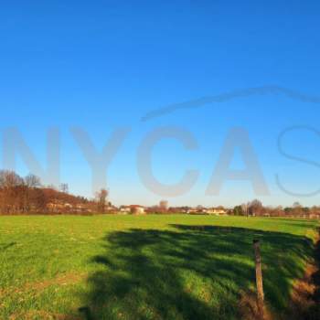 Terreno in vendita a Torreglia (Padova)
