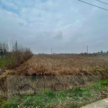 Terreno in vendita a Rovolon (Padova)