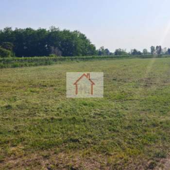 Terreno in vendita a Giavera del Montello (Treviso)