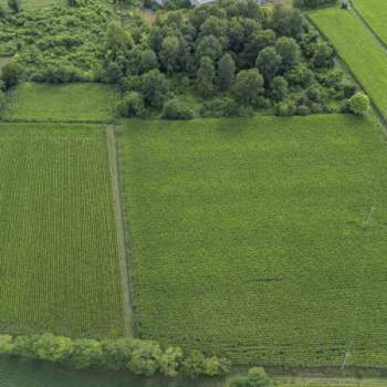 Terreno in vendita a Aiello del Friuli (Udine)