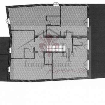 Attivita commerciale in affitto a Firenze (Firenze)