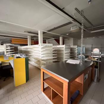 Negozio in affitto a Carpi (Modena)