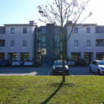 Negozio in vendita a Malo (Vicenza)