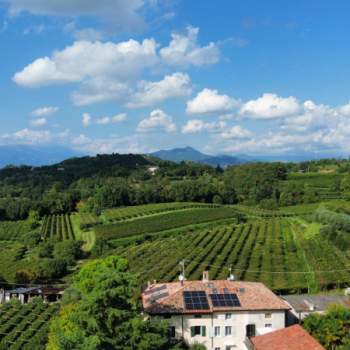 Terreno in vendita a Bussolengo (Verona)