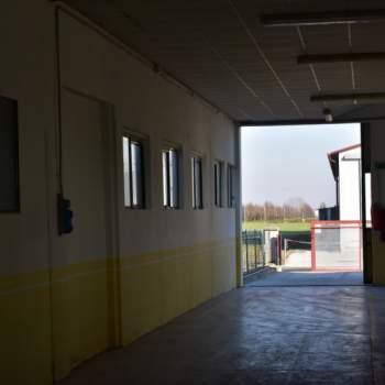 Magazzino in vendita a Bovolenta (Padova)