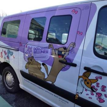 Porta laterale dx nuda FIAT SCUDO  del 2008