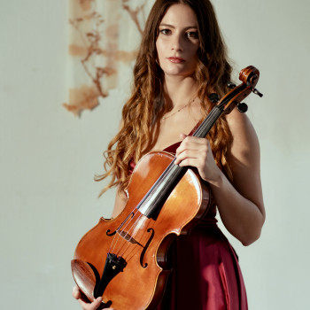 Offro lezioni di Violino, Viola e Musica