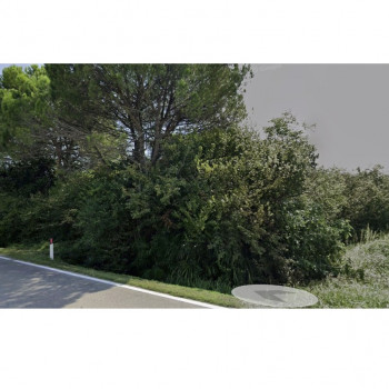 CALCROCI DI CAMPONOGARA Terreno edificabile di circa 8500mq