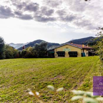 Villa in vendita a Montegrotto Terme (Padova)